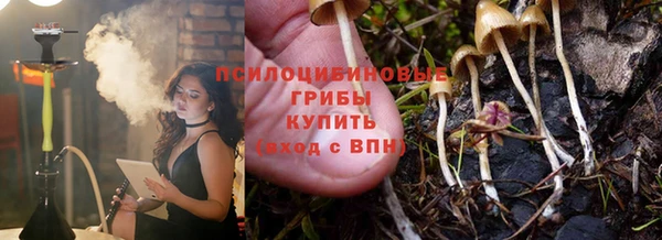 ALPHA PVP Кодинск