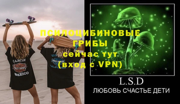 2c-b Козельск