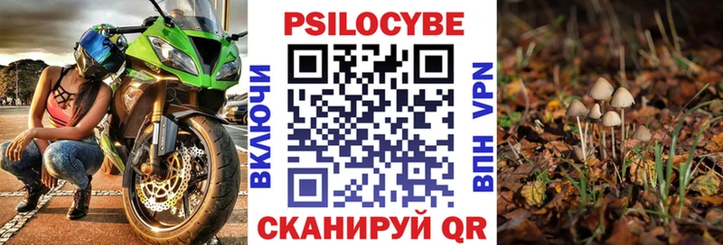 Псилоцибиновые грибы MAGIC MUSHROOMS  Санкт-Петербург 