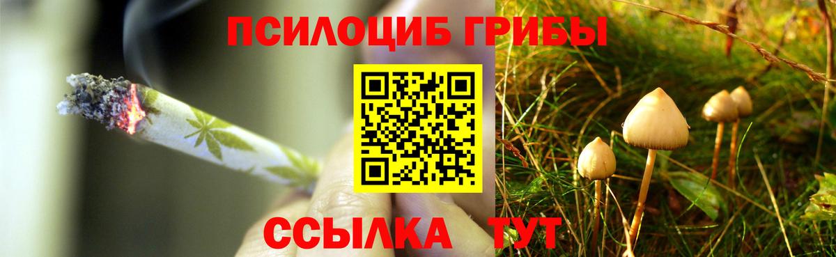 Санкт-Петербург  Галлюциногенные грибы GOLDEN TEACHER  Вход с VPN 