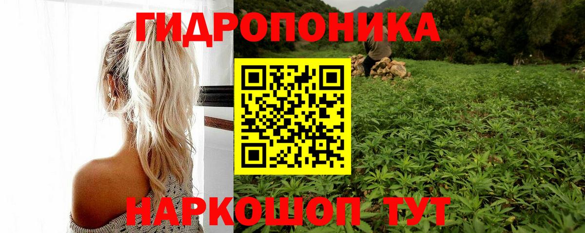 Бошки марихуана OG Kush Санкт-Петербург